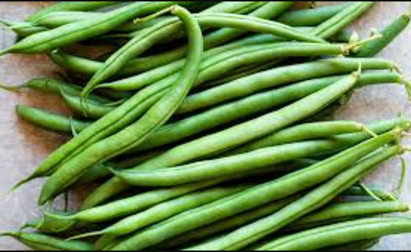 STRING BEAN / Green Bean / Snap Bean - 20 Seeds · FAIRY GARDEN