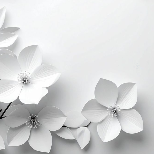The Fine Fragrance Collection picture