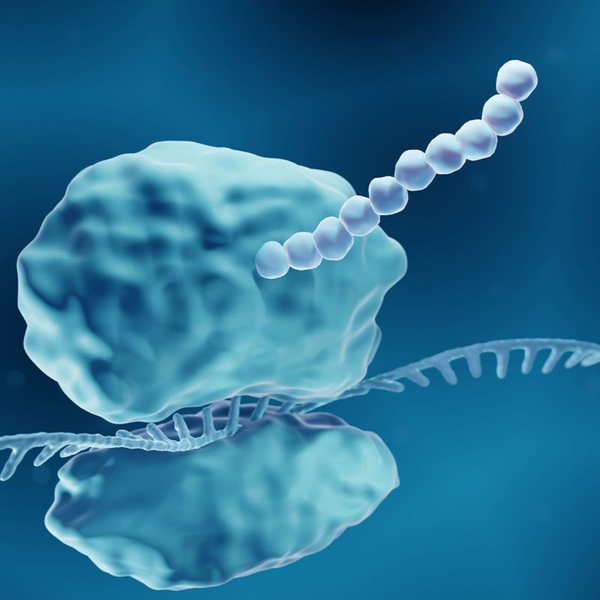 Understanding Amino Acids and Proteins picture