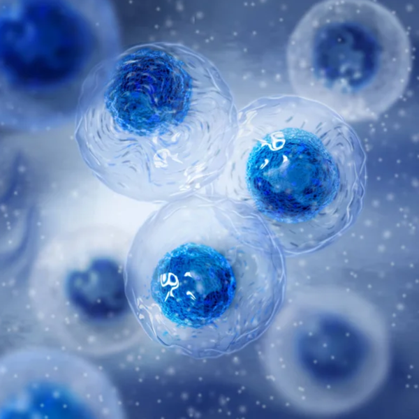 Understanding Peptides for Age Support & Cellular Renewal Research picture