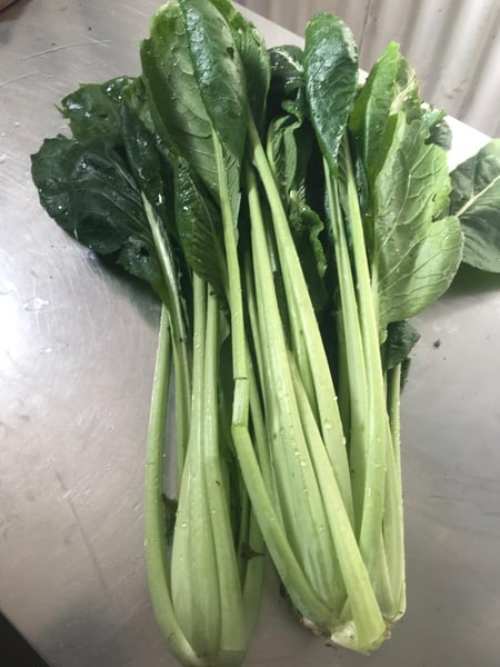 Komatsuna  seeds  20seeds