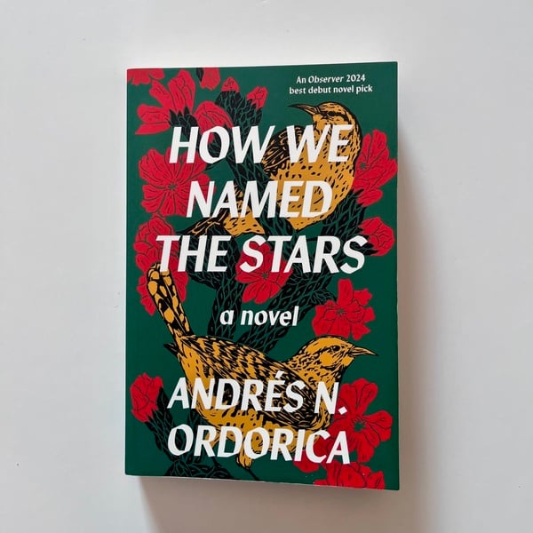 How we Named the Stars by Andrés N. Ordorica