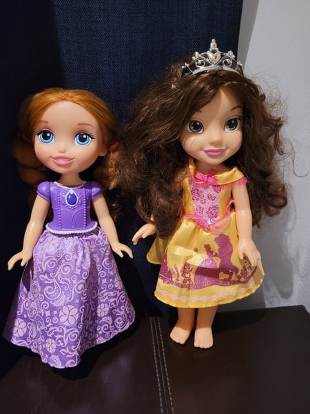 Disney Princess Fashion dolls