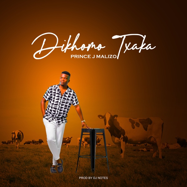 Prince J Malizo - Dikhomo Txaka - {Official Audio} · Maragane.com