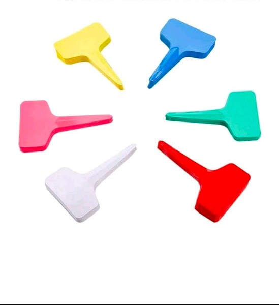 T-Shape Colorful Plastic Garden Plant Markers – 10cm × 6cm | Packs of 40