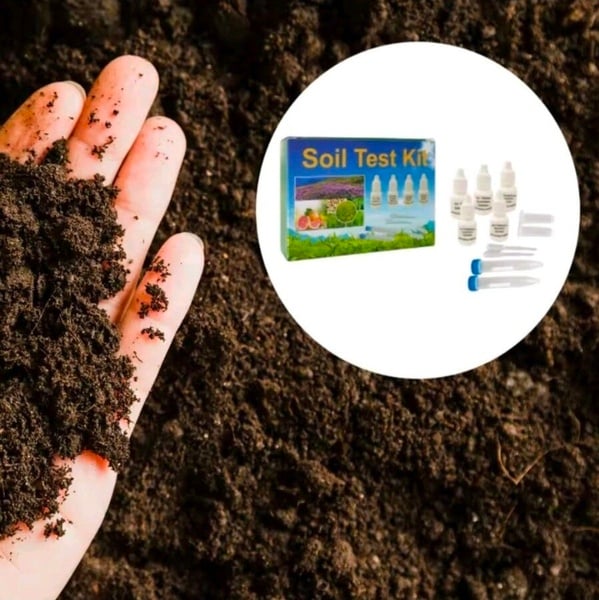 Why NPK and pH Testing is Important for Your Garden picture