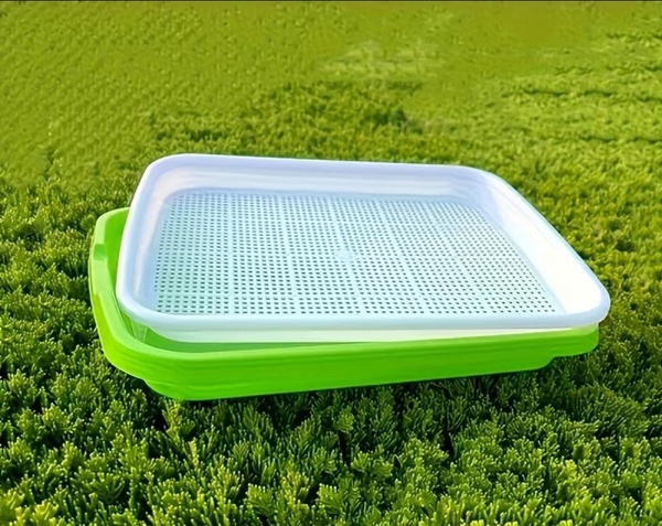 Premium Microgreen Sprouting Tray – 24 cm × 32 cm