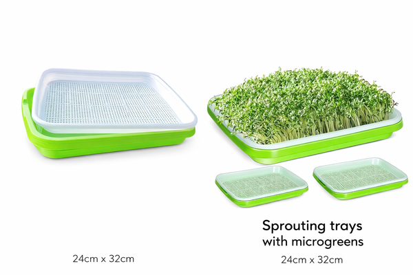 Premium Microgreen Sprouting Tray – 24 cm × 32 cm