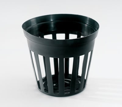 Propagation pots 7.5cm