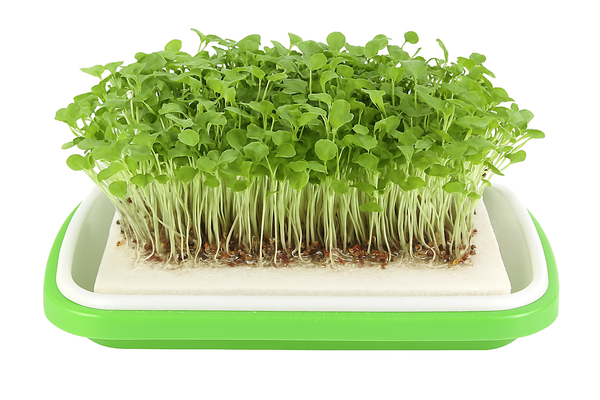 Hydroponic Growing Medium Kit – 20 Sheets
