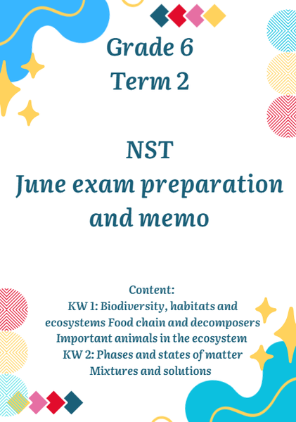Grade 6 Term 2 NST June exam preparation and memo