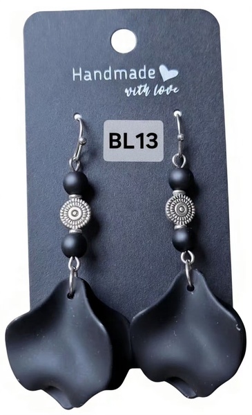 CODE - BL13