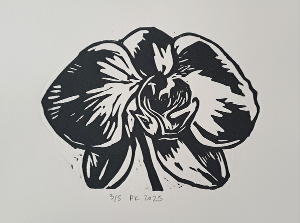 Orchid