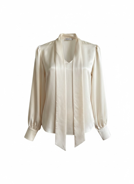 Soft Chiffon Blouse