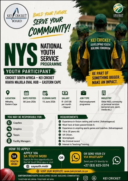 KEI CRICKET LAUNCHES NYS PHASE 5 YOUTH EMPLOYMENT DRIVE picture