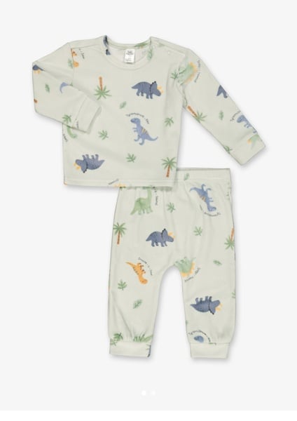 New born baby dinosaurs set