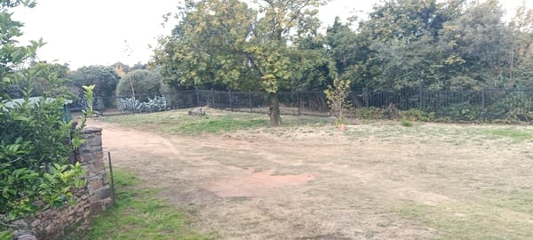 Big Parking Space and Yard