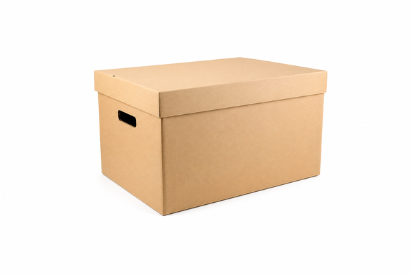 Medium Filing Box