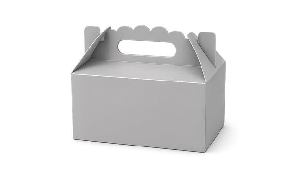 Party Box - Grey (24pcs) picture
