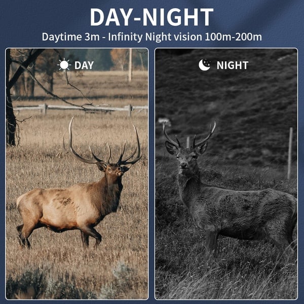 Night Vision Binoculars r