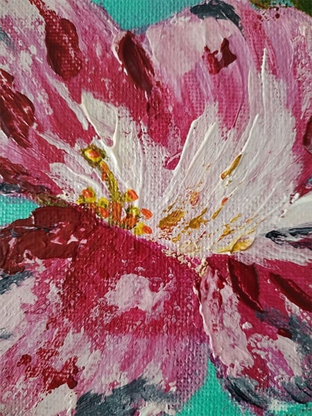 Bloom in Grace