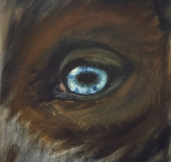 An exploration of a horse's eye in oil.
