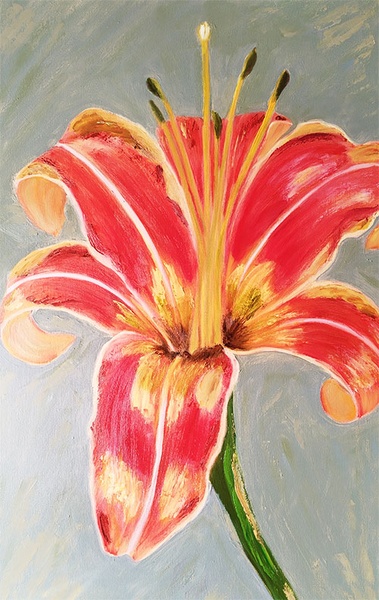 Lily, oil painting.