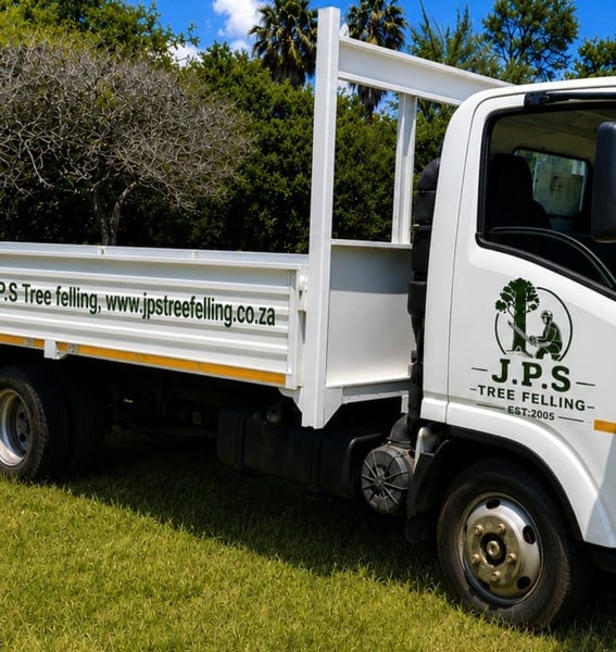 Removals picture