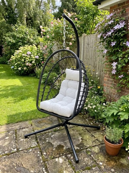 Hanging Egg Chairs picture