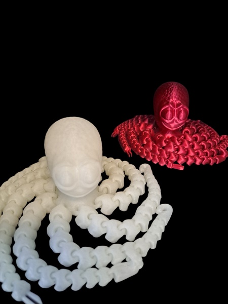 Octopus
