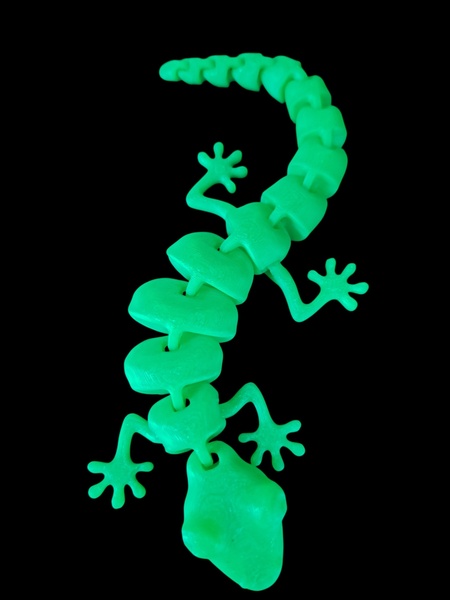 Lizard