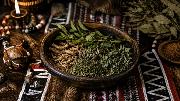 Traditional Herbal Medicine picture