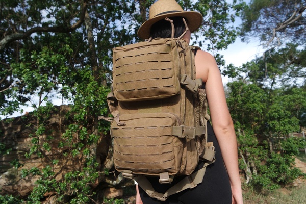 Backpacks picture