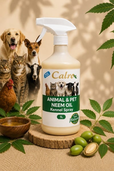 ANIMAL & PET