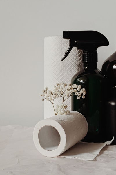 Cleaning Essentials picture
