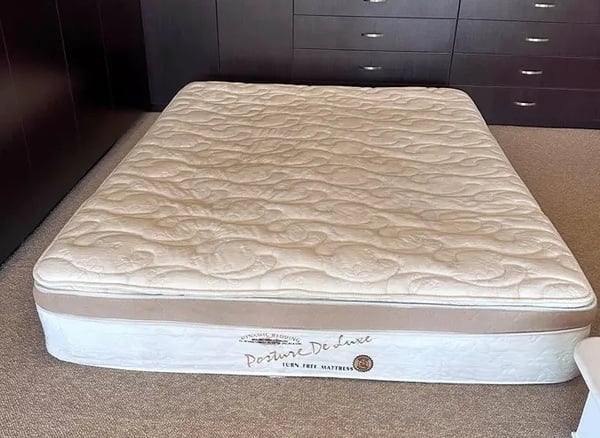 Posture deluxe queen mattress