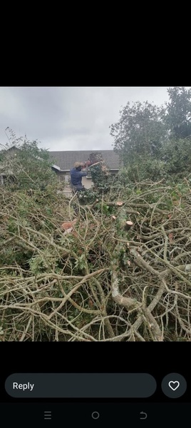 Site clearance