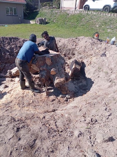 Stump removal