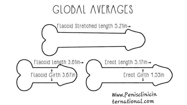 Penis circle evaluation