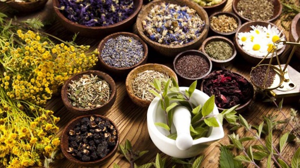Penis HERBAL