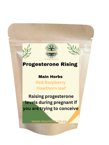 Progesterone Rising