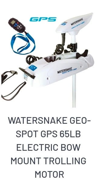 Watersnake Electric Motors