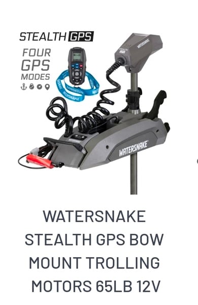 Watersnake Electric Motors