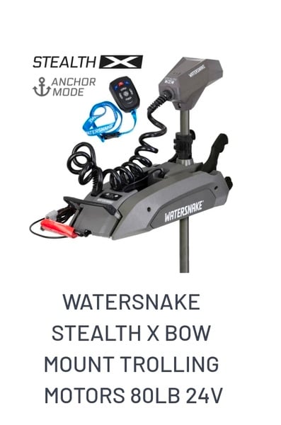 Watersnake Electric Motors
