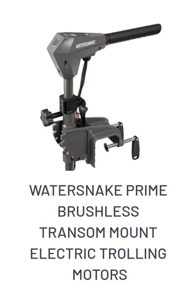 Watersnake Electric Motors