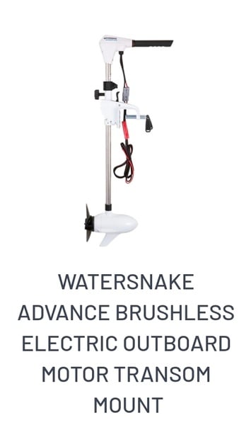 Watersnake Electric Motors