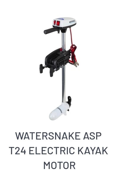 Watersnake Electric Motors