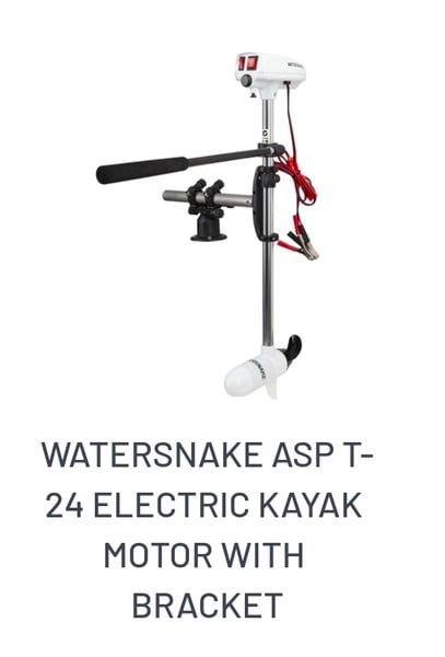 Watersnake Electric Motors
