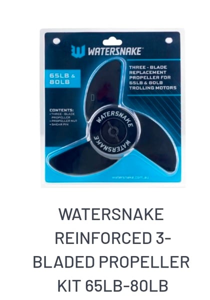 Watersnake Electric Motors