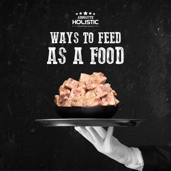 Absolute Holistic Meaty Loaf for Dogs 100g x 16